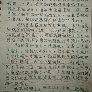 作文奶奶的爱