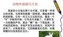 作文小动物