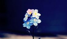 有时候你不逼自己一把，永远不知道自己有多优秀