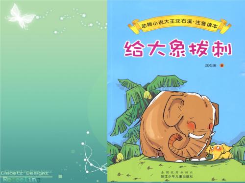 看完大象后