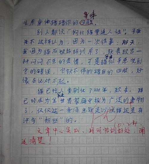 靠近小动物的组成