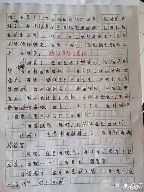 撰写课程组成