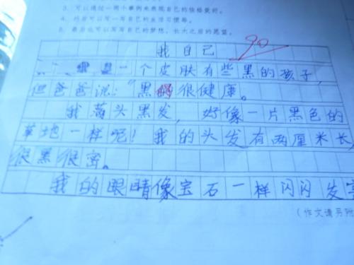 鹰捉鸡100字