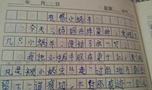 描写小动物的作文