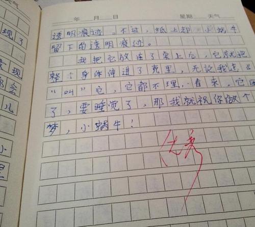 饲养小动物的组成