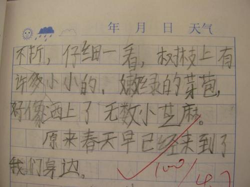 春季游的组成