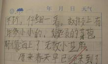 春天游玩的作文