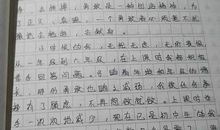 这就是我600字作文