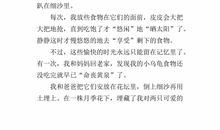 写乌龟的作文300字