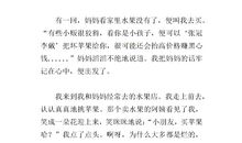 记事的作文500字