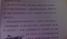 勇气议论文作文500字