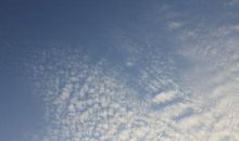 天空也伤心读后感