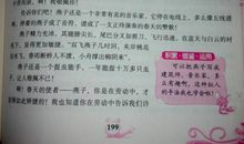 介绍一种小动物作文