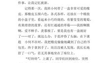 我战胜了自己作文