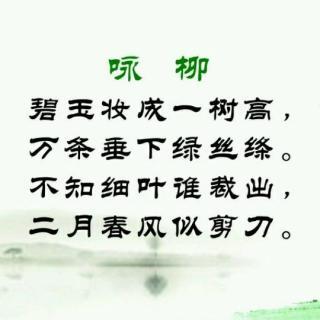 翼柳