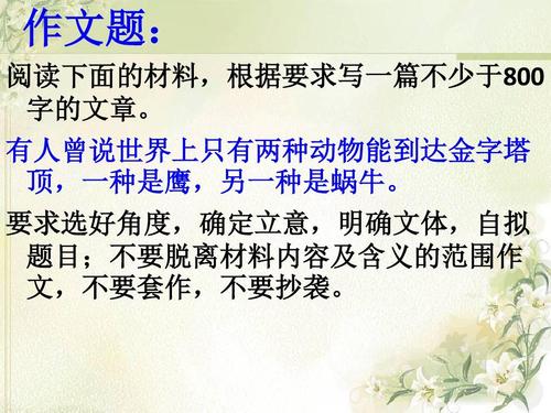 鹰捉鸡400字