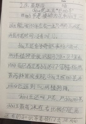 好的文章和想法