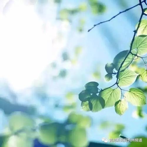 珍惜沿途的风景，让我微笑