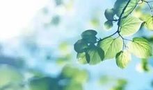 且珍惜沿途风景，许我以微笑问候