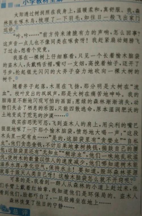鹰捉鸡600字
