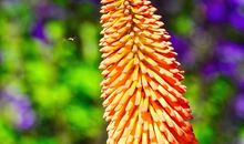 有你的岁月，是阳光灿烂的季节