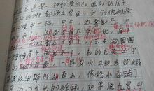 我不怕挫折作文