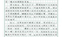 小学作文这就是我