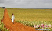 时光易虚度，不如早相逢