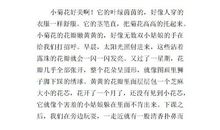 描写菊花展览的作文