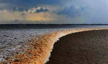 钱塘江观潮作文