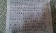 难忘的事作文500字