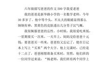 描写人物外貌的作文500字