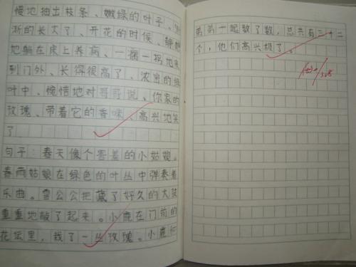 玉露初中作文