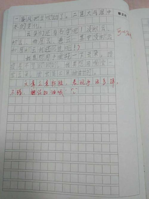 调皮的我组成