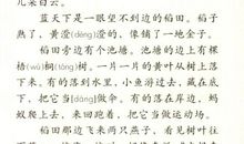 秋天的公园作文500字