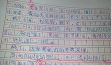 难忘的小学生活作文450字
