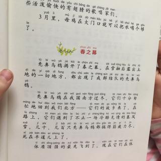 看完报春花后
