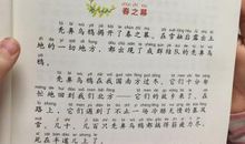 森林报春读后感