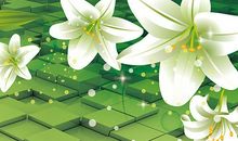 赞美百合花的作文