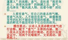 赞美杜甫的作文