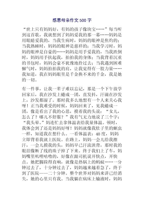 感激母亲的爱情作文500字