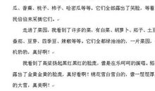 秋天校园景色作文