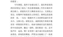 调皮的我作文600字