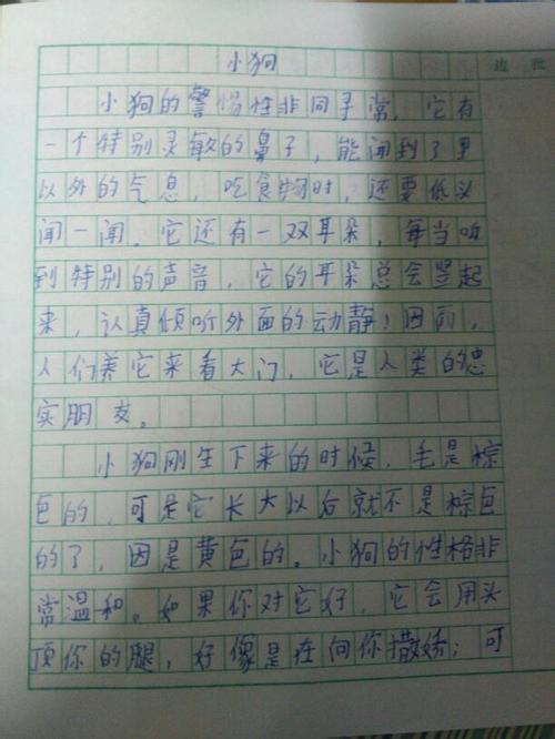 三年级作文小狗