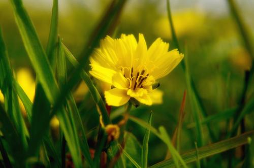 生活与季节