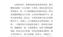 小学作文难忘的一件事