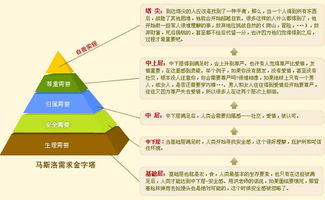 Maslow的文章...
