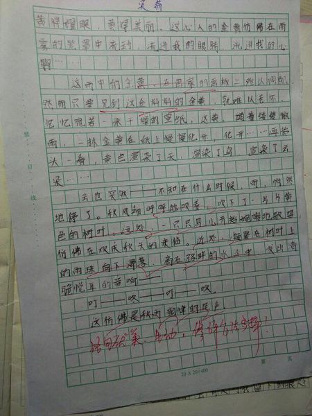 600字秋味组成
