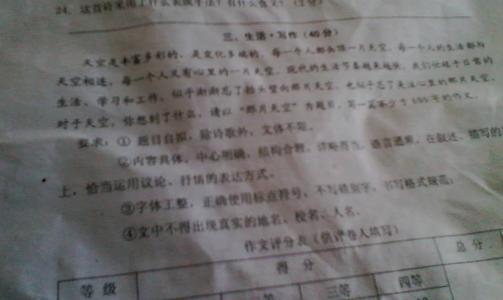 我的天空文章