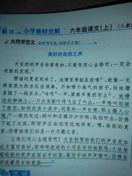 大自然的声音成分